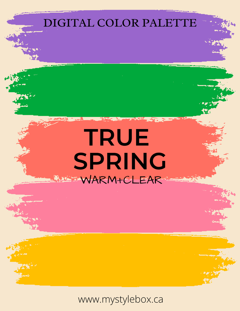 Digital Seasonal Color Analysis Palette