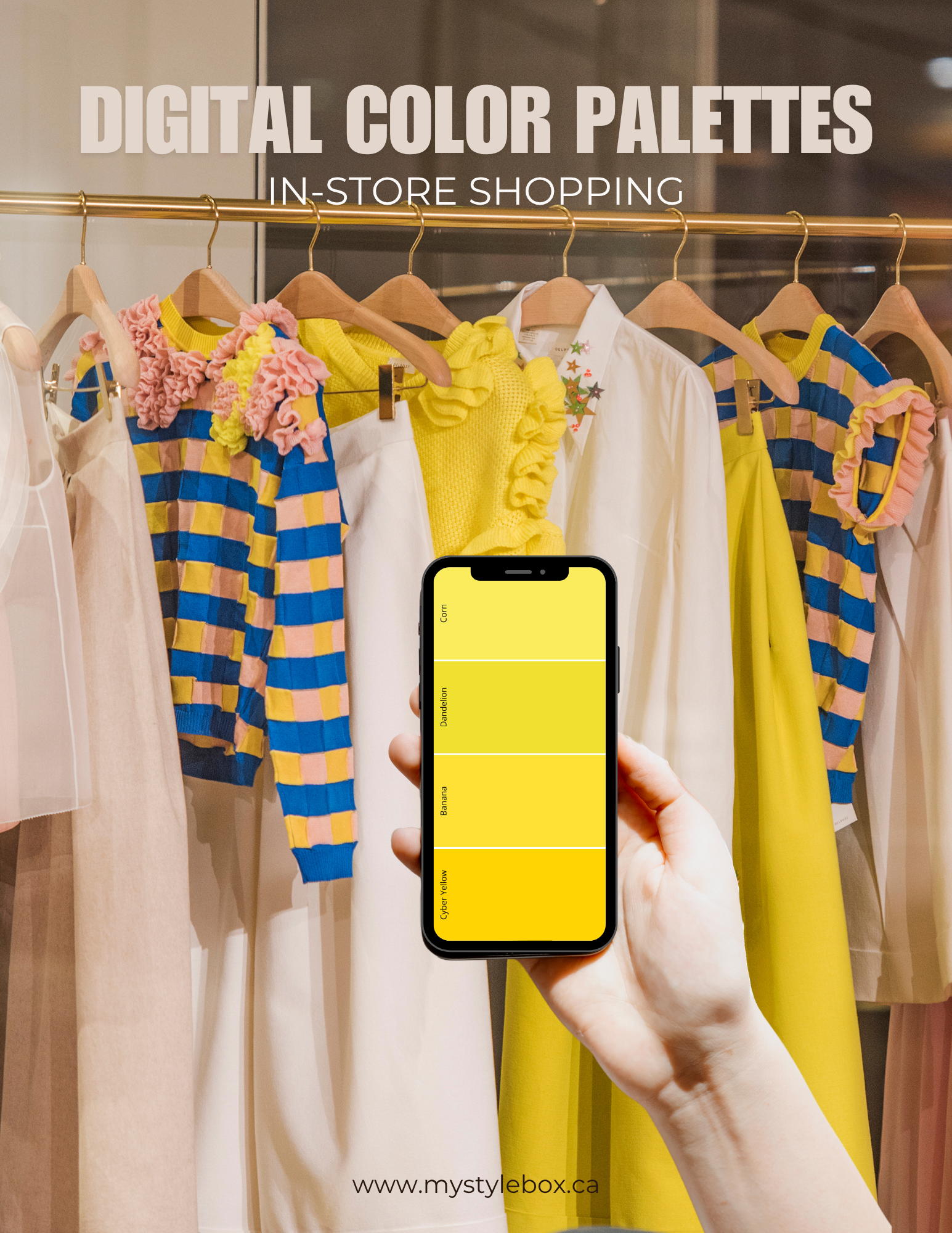 Digital Seasonal Color Analysis Palette