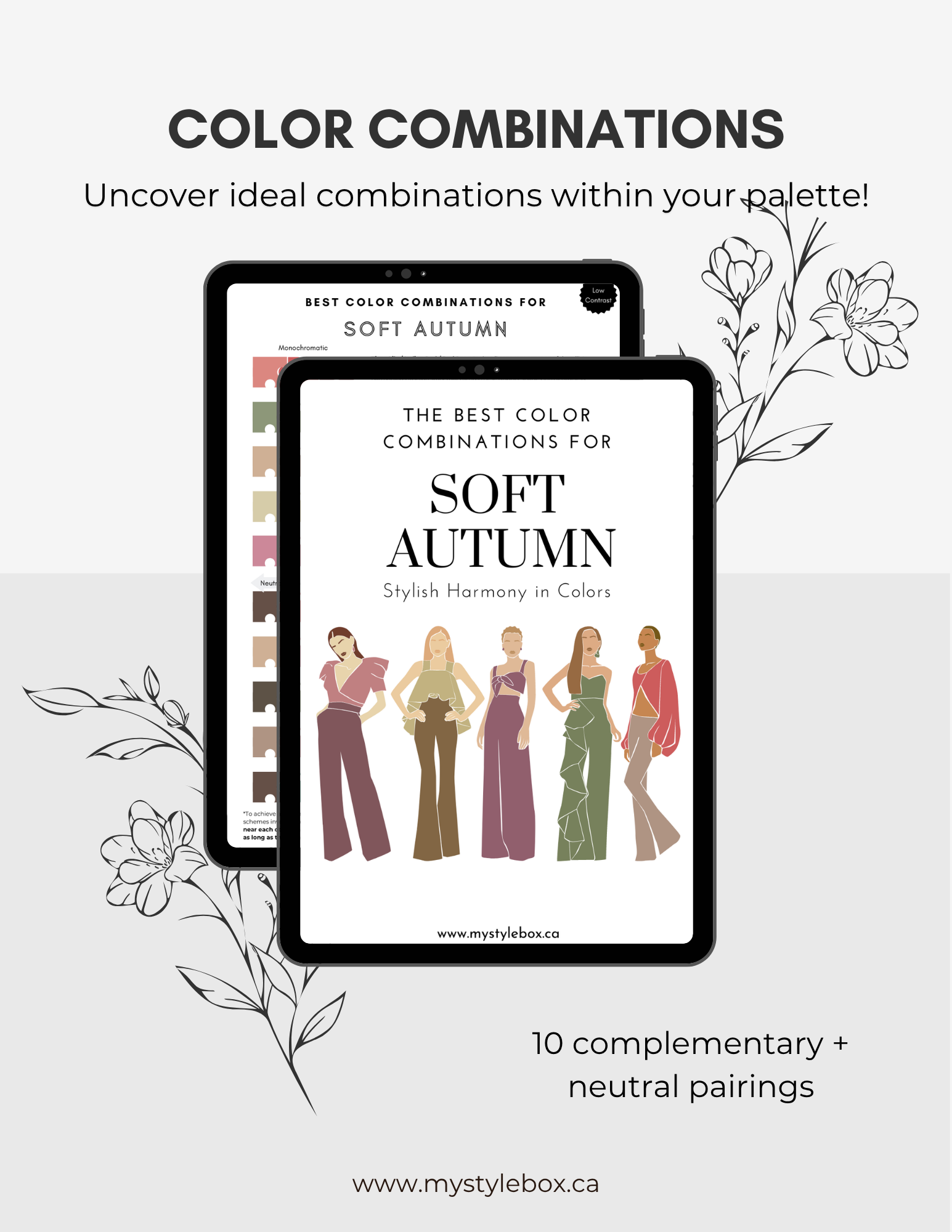 Digital Seasonal Color Palette and Combinations