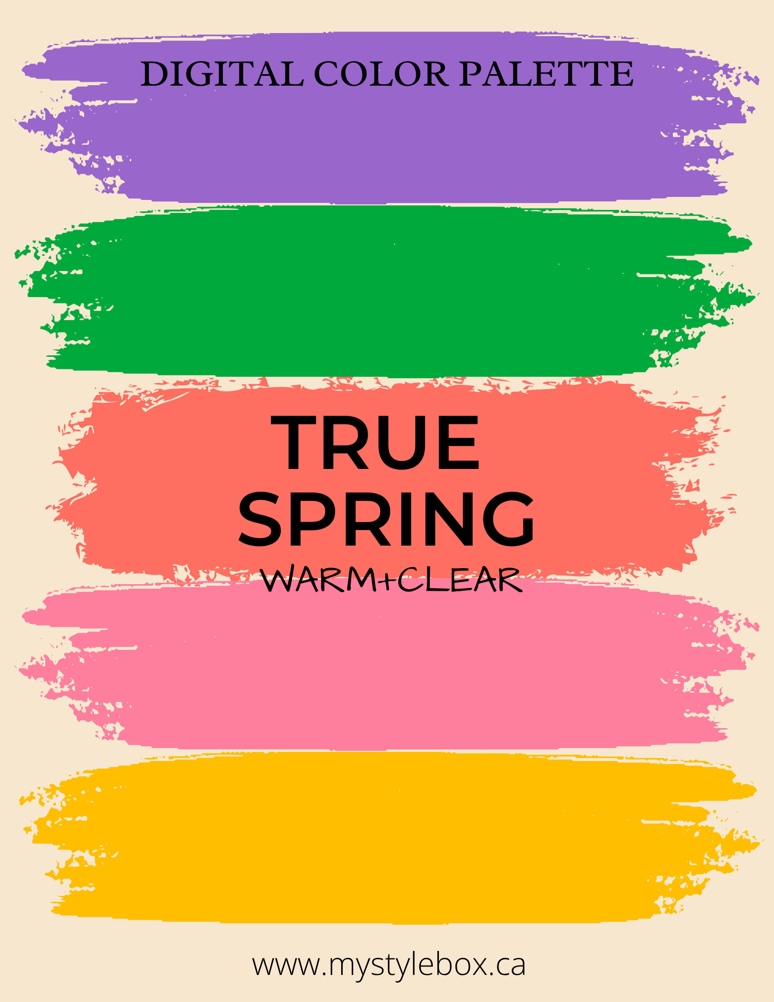 Digital Seasonal Color Analysis Palette