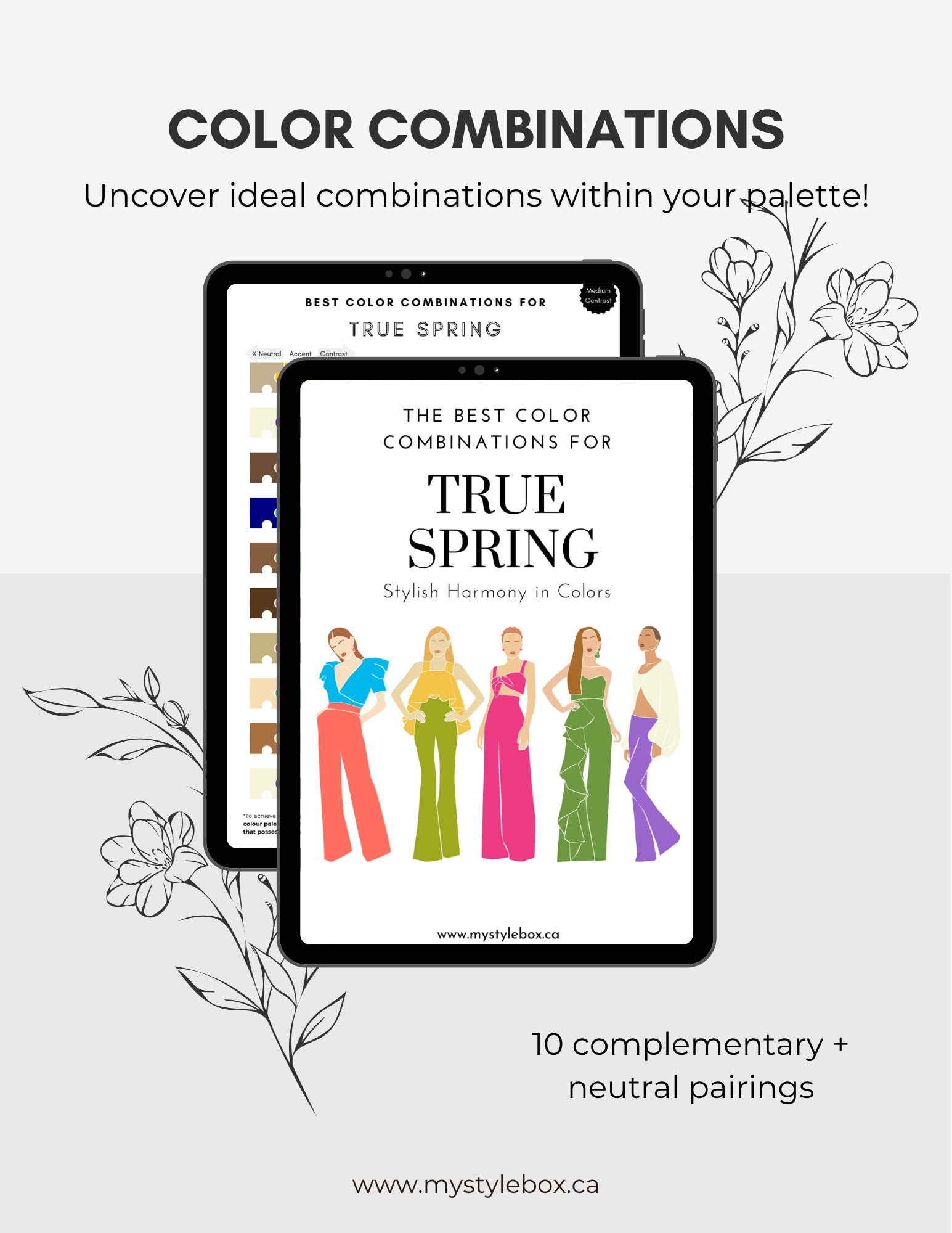 Digital Seasonal Color Palette and Combinations